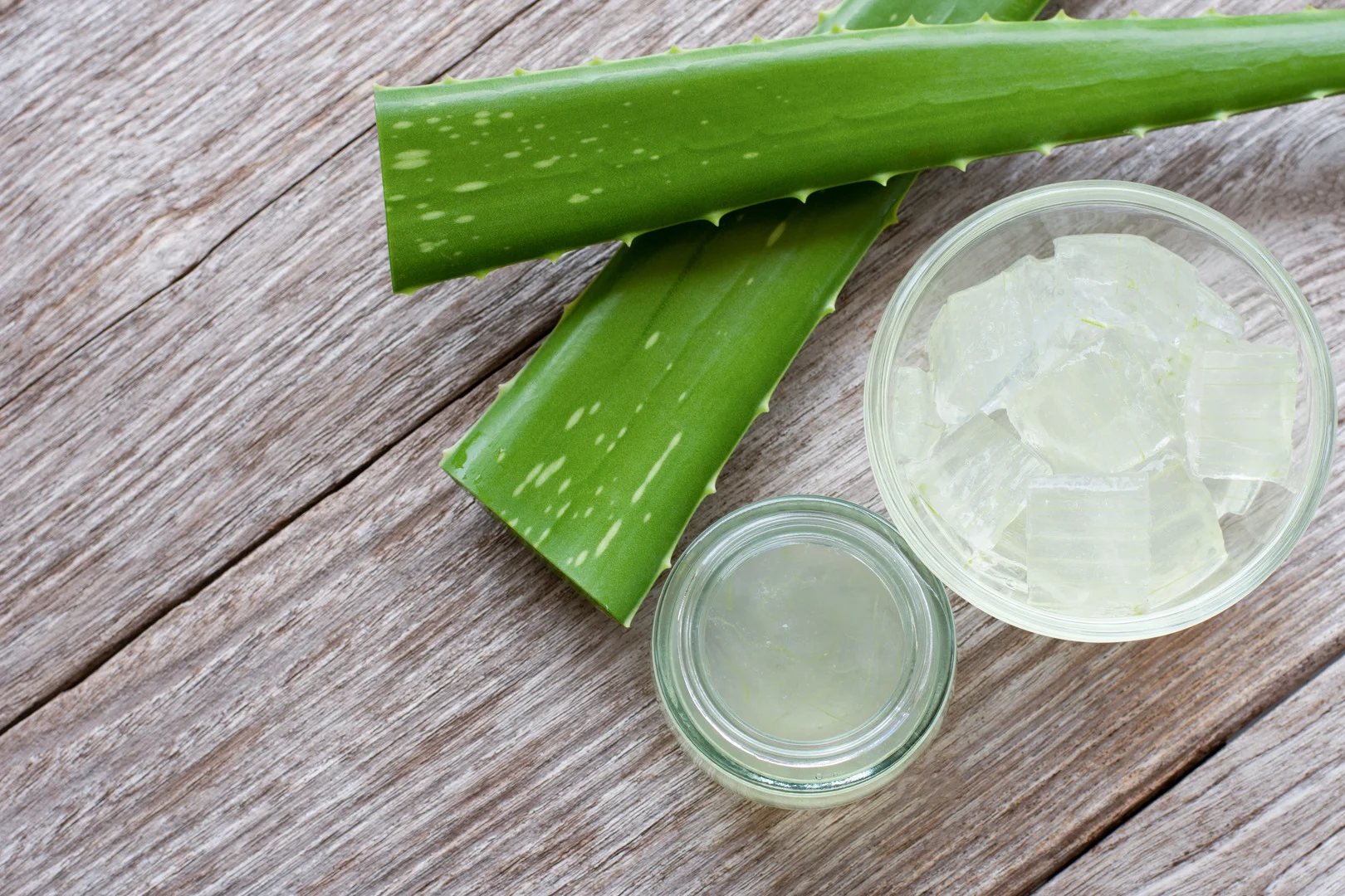 Aloe Vera